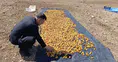 Milletvekili Ağbaba'dan Sel Bölgesi Kocaözü'ne Ziyaret!