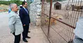 Başkan Taşkın, Hayvan Barınağında İncelemelerde Bulundu