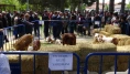 Yazıhan’da Dünya Çiftçiler Günü Coşkuyla Kutlandı