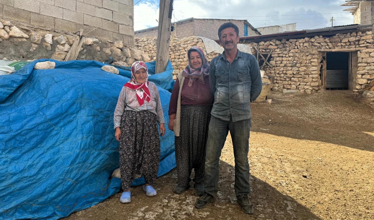 Yem fiyatlarındaki hızlı artış üreticileri zorluyor