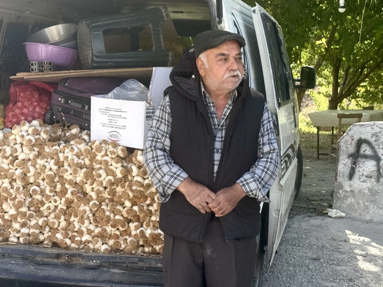 Taşköprü Sarımsağı Yoğun İlgi Görüyor, Üreticiler Memnun Kalıyor