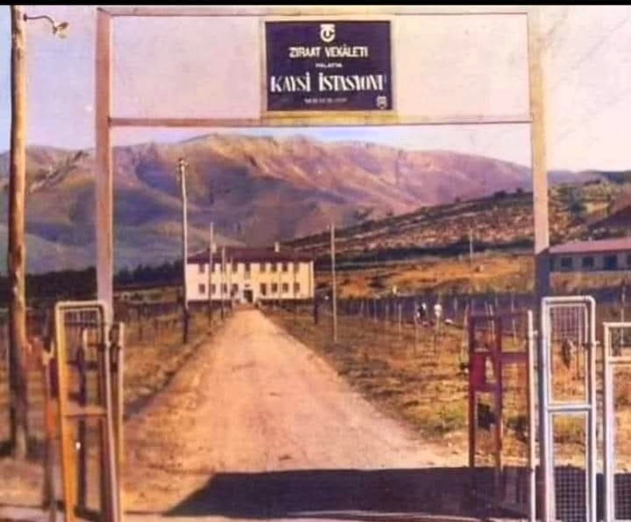 Malatya’da Kayısı Açık Hava Müzesi Önerisi Şehre Yeni Bir Değer Katabilir