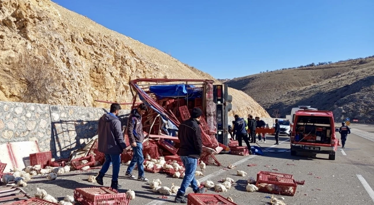 Tavuk Yüklü Kamyon Devrildi Yüzlerce Tavuk Telef Oldu