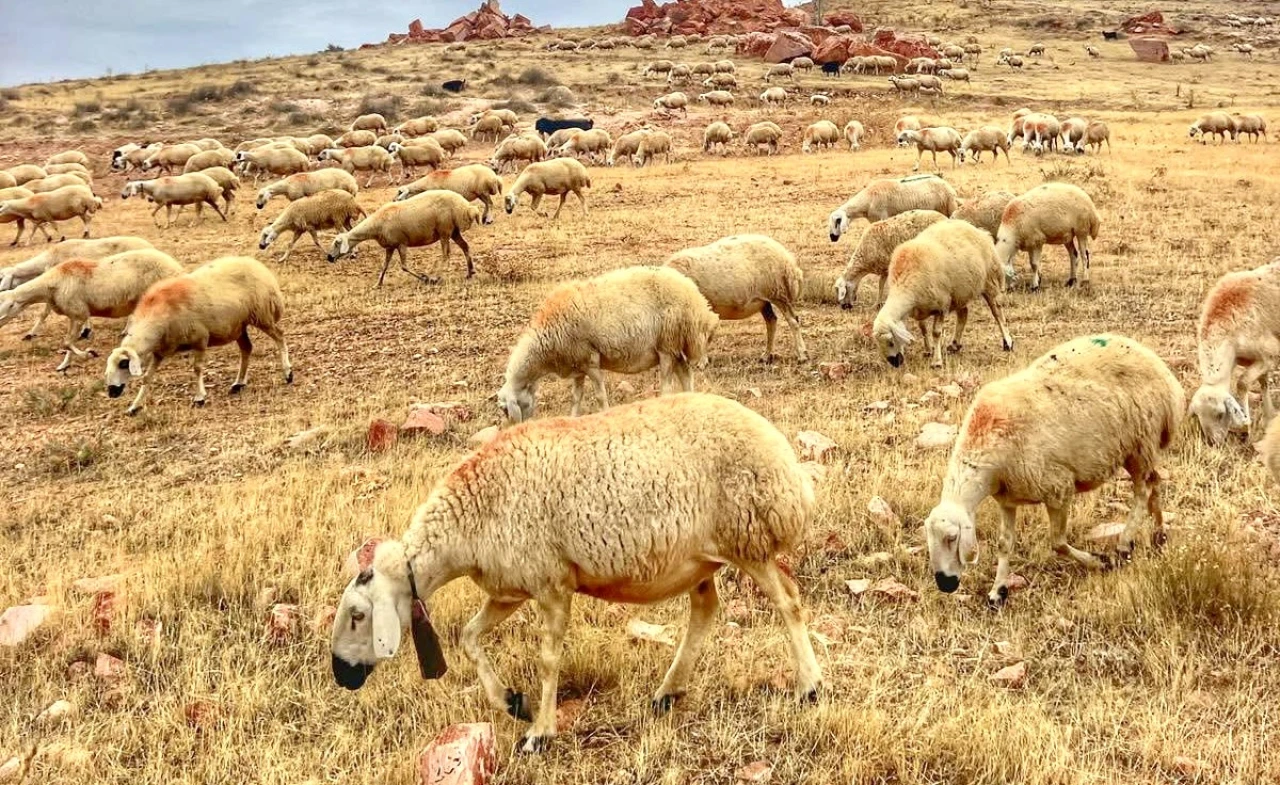 Halk Elinde Islah Projelerine 2,7 Milyar TL Destek