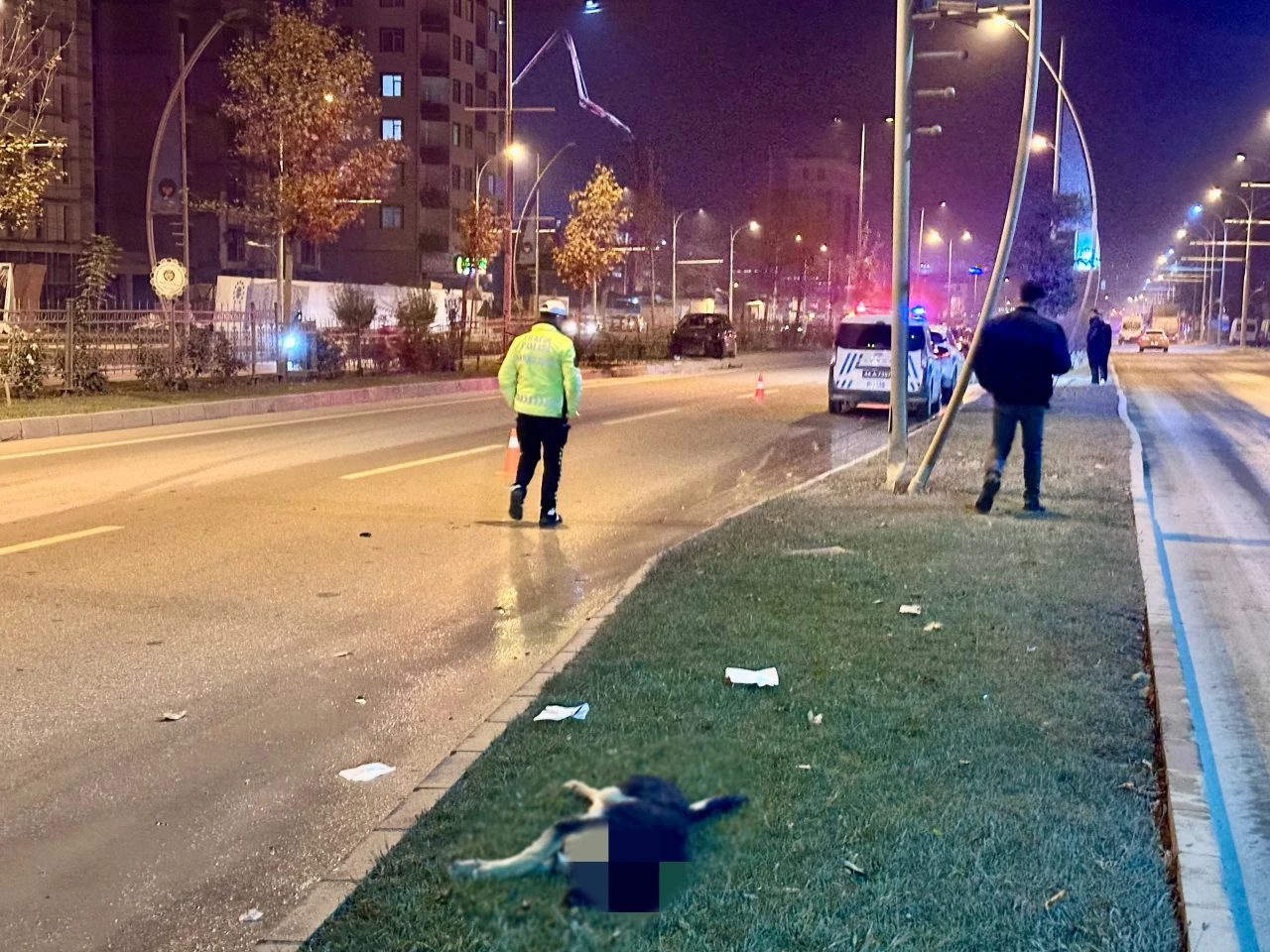 Malatya Çevreyolu’nda Köpek Kazası: Refüje Çıktı, Sürücü Yaralı