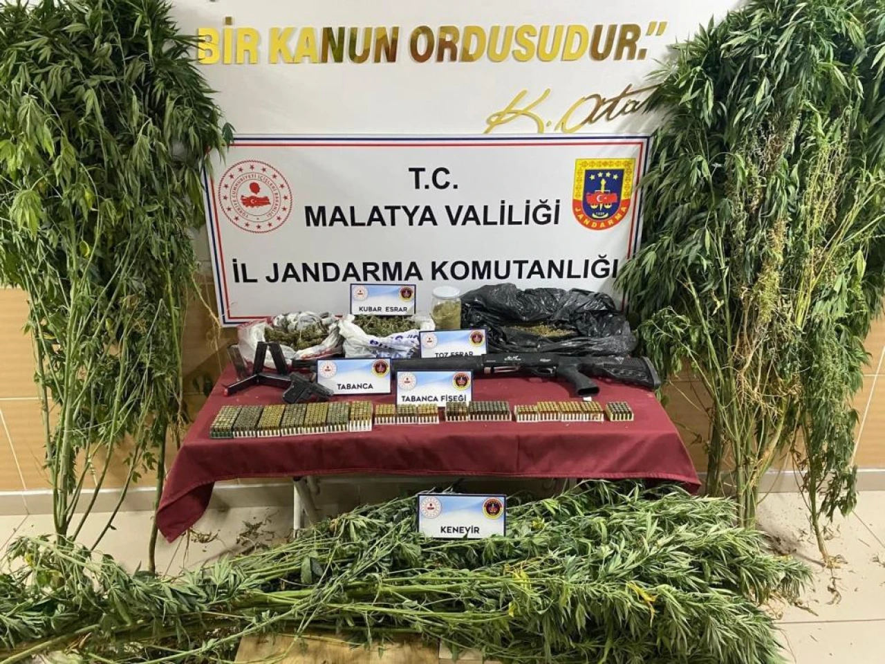 Malatya'da Jandarmadan uyuşturucu operasyonu: 1 gözaltı