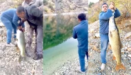 Barajın Sırlarını Ortaya Çıkaran Dev Balık! 32,7 Kilo