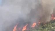 Malatya'da orman yangını