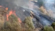 Pütürge’de Yerleşim Alanına Yakın Bölgede Yangın Çıktı