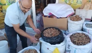 Sumak Hasadı Başladı: Kilosu 350 TL