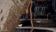 İşçileri Korkutan Yılan Kepçe Yardımıyla Çıkarıldı