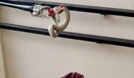 Malatya'da Son Dönemde Yılan Saldırıları Artıyor..