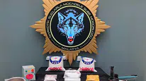 Malatya Polisinden Rekor Operasyon: 307 Kilo Uyuşturucu Hammaddesi