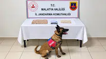 Battalgazi'de Uyuşturucu Operasyonu: 1 Şüpheli Gözaltında