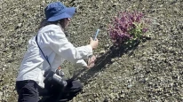 Darende’nin Bitki Zenginliği Kayıt Altına Alınıyor: Hedef “Darende Florası” Kitabı