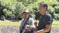 Japon Heyetten PECAT İncelemesi!