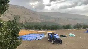 Hekimhan'ı Sel ve Heyelan Vurdu: Kayısılar Çamura Bulandı
