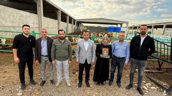 Malatyalı Girişimci Hafure Adak, Hayvancılıkta Örnek Başarı Elde Etti
