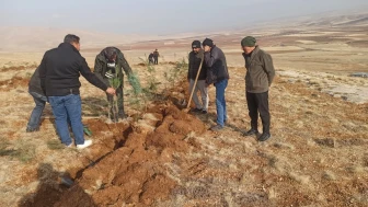 Yeniköy’de Öğretmen, Öğrenci ve Mahalleli Doğa İçin Seferber Oldu