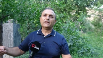 Malatya'da alternatif ürün hünnaptan yüksek verim alınd