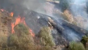 Pütürge’de Yerleşim Alanına Yakın Bölgede Yangın Çıktı