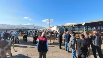 Malatya’da Hayvan Pazarı Yeniden Açıldı