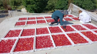 Doğanşehirli Kadınlar Üreterek Ev Ekonomisine Katkı Sağlıyor