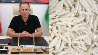 Darende Kenger Sakızı İçin Coğrafi İşaret Başvurusu