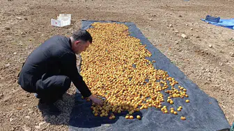 Milletvekili Ağbaba'dan Sel Bölgesi Kocaözü'ne Ziyaret!