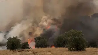 Pütürge’deki Yangın Havadan ve Karadan Müdahaleyle Kontrol Altına Alındı