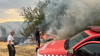 Malatya'da Besi Otu Tarlasını Saran Yangın Halkı Tedirgin Etti
