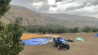 Hekimhan'ı Sel ve Heyelan Vurdu: Kayısılar Çamura Bulandı