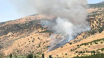 Pütürge’de Korkutan Yangın