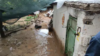 Hekimhan'da Sağanak Yağış Dereleri Taşırdı: Kayısılar Zarar Gördü