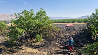 Malatya Kale'de Korkutan Yangın: Meyve Ağaçları Zarar Gördü