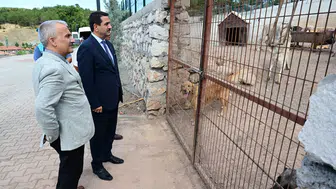 Başkan Taşkın, Hayvan Barınağında İncelemelerde Bulundu