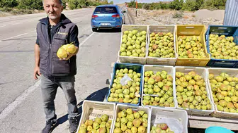 Kürecik'in Meşhur Bal Armudu Tezgâhlardaki Yerini Aldı