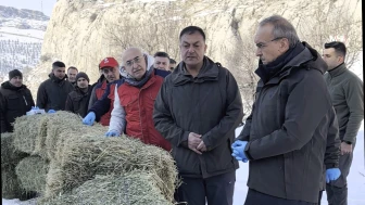 Vali Seddar Yavuz Kış Şartlarında Yaban Hayvanları İçin Sahadayız