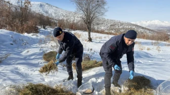 Doğanşehir’de Yaban Hayatı Unutulmadı: Eskiköy’de Yemleme Yapıldı