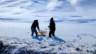 Doğanşehir Zabıtası’ndan Örnek Davranış: Yaban Hayvanları Unutulmadı