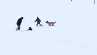 Malatya’da Kar Sevinci: Çocuklar ve Köpeğin Oyunu Gülümsetti