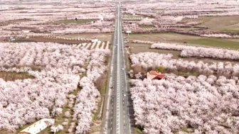 Malatya’da kayısı ağaçları çiçek açtı: Vali Seddar Yavuz’dan üreticilere bereket mesajı!