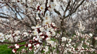 Yıldırım: “Bakım Yapılırsa Verim Ve Kaliteyi Bekliyoruz”