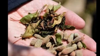 Malatya Valiliği’nden Üreticilere Kritik Zirai Don Uyarısı