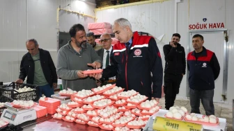 Malatya’da Mantar Yetiştiriciliği Üretimi Hızla Büyüyor