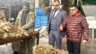 Malatya’da Yünler Çöpe Değil İhracata Gidiyor: Bölgenin Tek Tesisi Kapılarını Açtı
