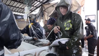 Malatya'nın Alabalık Üretim Kapasitesi Ne Kadar? Osman Akar Rakamları Paylaştı!