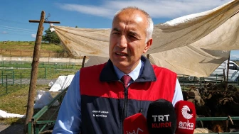 Malatya’da Kurbanlık Hazırlıkları Tamam: 45 Bin Hayvan Satışa Hazır