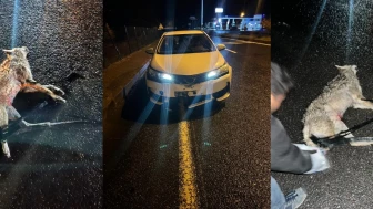 Darende'de Otomobil Kurta Çarptı Maddi Hasar Oluştu