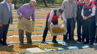 Bakan Yumaklı: Geçen Yıl Umut Yoktu, Bugün Dallar Meyveyle Doldu